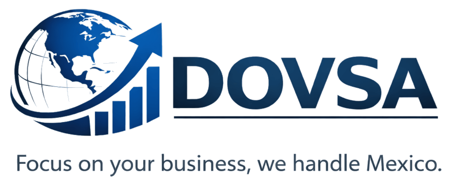 DOVSA Consulting Logo